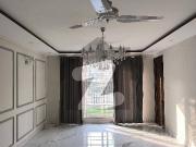 7 Beds Brand New House Available For Sale