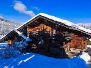 7 chambres, DEMI QUARTIER Rhône 74120 98149242