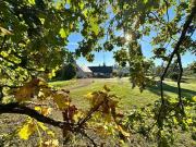 7 chambres, Olivet Centre 45160 95478167