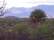 7 Ha 8000 m2 Costa de Arroyo en Inmomap