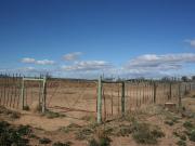 7 ha Farm in Graaff Reinet