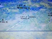 7 HAS Agricultural Lot for Sale Pililia, Rizal