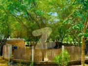 7 kanal commercial/industrial/warehouse plot