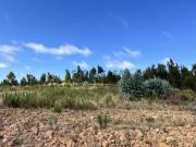 7 lotes para construção de moradias, 40 minutos de Lisboa