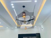 7 Marla Brand New 2.5 Stories House 6 Bedrooms With...