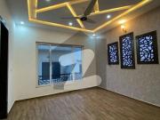 7 Marla Brand New House Available For Rent Near Park...