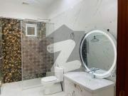 7 Marla Brand New House Available For Rent Near Park...