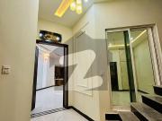 7 Marla Brand New House Available For Rent Shalimar Colony