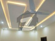 7 Marla Brand New House For Rent 7 Marla Brand New House For Rent