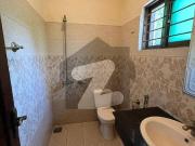 7 Marla Ground Portion Available For Rent In G 15