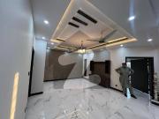 7 marla house available for rent phase 8