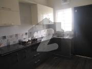7 Marla House For Rent In Bahria Town Phase 8 Safari...