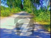 7 Marla Plot For Sale Chakri Road Al Haram City Rawalpindi