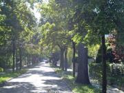 7 Schlafzimmer Haus München Deutschland 91966019