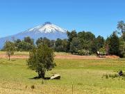 $ 800.000 Casa en Arriendo en Villarrica 3 dormitorios 2...