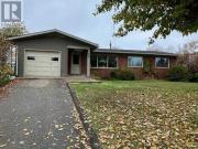800 2Nd Street Se, Manning, AB, T0H 2M0 house for sale |...