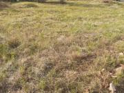 800 m² Land available in Ninapark