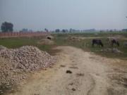 800 Sq Ft Residential Plot In Xhevahire City,...