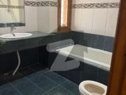 800 Yards Bungalow For Rent DHA Phase 5