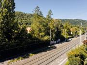 8020 Eggenberg Eine gepflegte, renovierte, 2 Zimmer... 8020 Eggenberg Eine gepflegte, renovierte, 2 Zimmer...