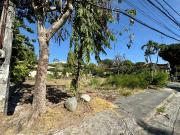 805 sqm Vacant Residential Lot for Sale in Ayala Alabang...