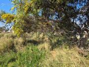 807 m² Land available in Fairview
