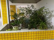 80.00 Área Útil Apartamento Alugar, 2 Ambientes...