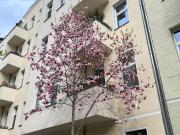 80 Sqm in the heart of Berlin, Berlin Amsterdam...