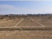 80 TERRENOS URBANOS EN PIURA_SULLANA