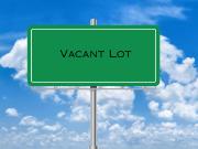 8191 sqm Vacant Lot For Sale in Baesa Quezon City