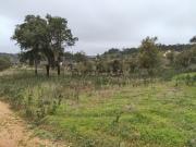 8,27 ha Terreno para Construção de Moradia