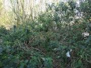 831 m² Land available in Cambridge