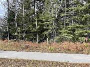 837 Hodder Avenue, Thunder Bay, ON, P7A 1W3 vacant land...