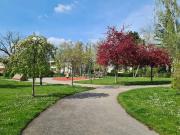 83 m2 3 Zimmer Familienwohnung mit Loggia, Garagenplatz,...