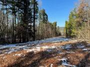 841 BOYD RD, DOVER, AR 72837