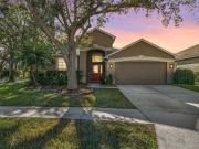 8425 Fenwick Ave, Tampa, FL 33647