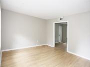 850 carol ann cv
