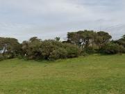 855 m² Land available in Winterstrand