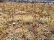 860m² Vacant Land For Sale in Vaaloewer