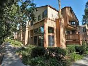 8619 Robles Drive 8619 Robles Dr