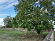 86380 SAINT MARTIN LA PALLU Terrain de 570 m2