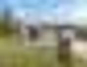 86 Rob Riley Circuit, Bonner ACT 2914