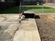 8710 Dayton Avenue N