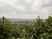 875 m² Land available in Constantia Kloof