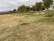 876 m² Land available in Dainfern
