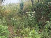 888 m² Land available in Shallcross