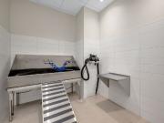 88 Beechwood Avenue, Lindenlea New Edinburgh, Ottawa, ON