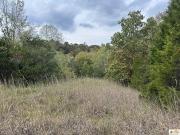 8923 Greensburg Rd, Edmonton, KY 42129