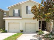 8931 Turnstone Haven Pl, Tampa, FL 33619