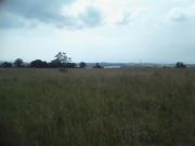 8 000 m² Land available in Laezonia